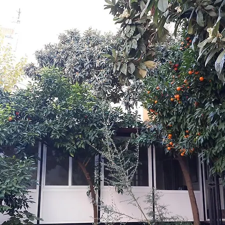 Uyar Palace Albergue