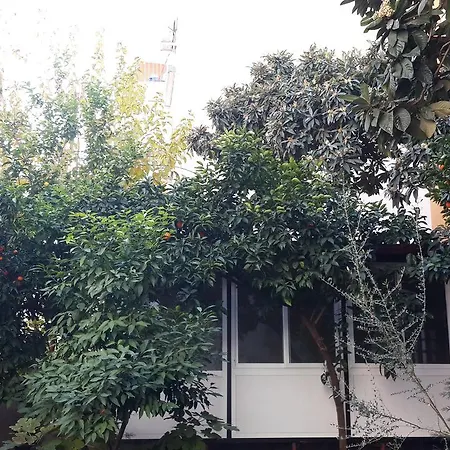 Albergue Uyar Palace Antália